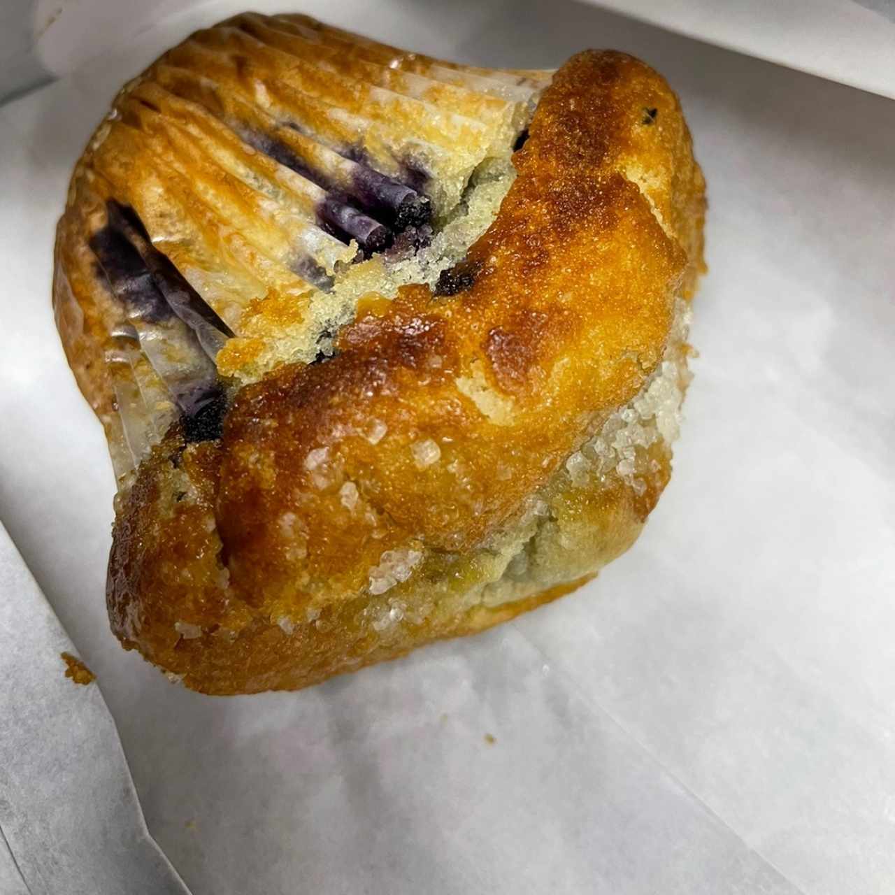 Pastry - Blueberry Muffin