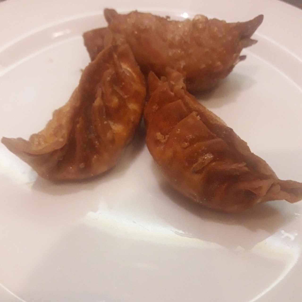 Empanaditas WoTip De Puerco