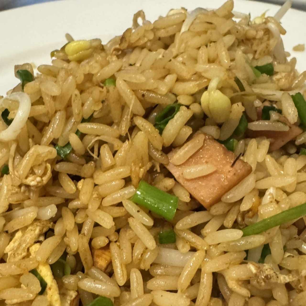 Arroz Frito - 20. arroz especial