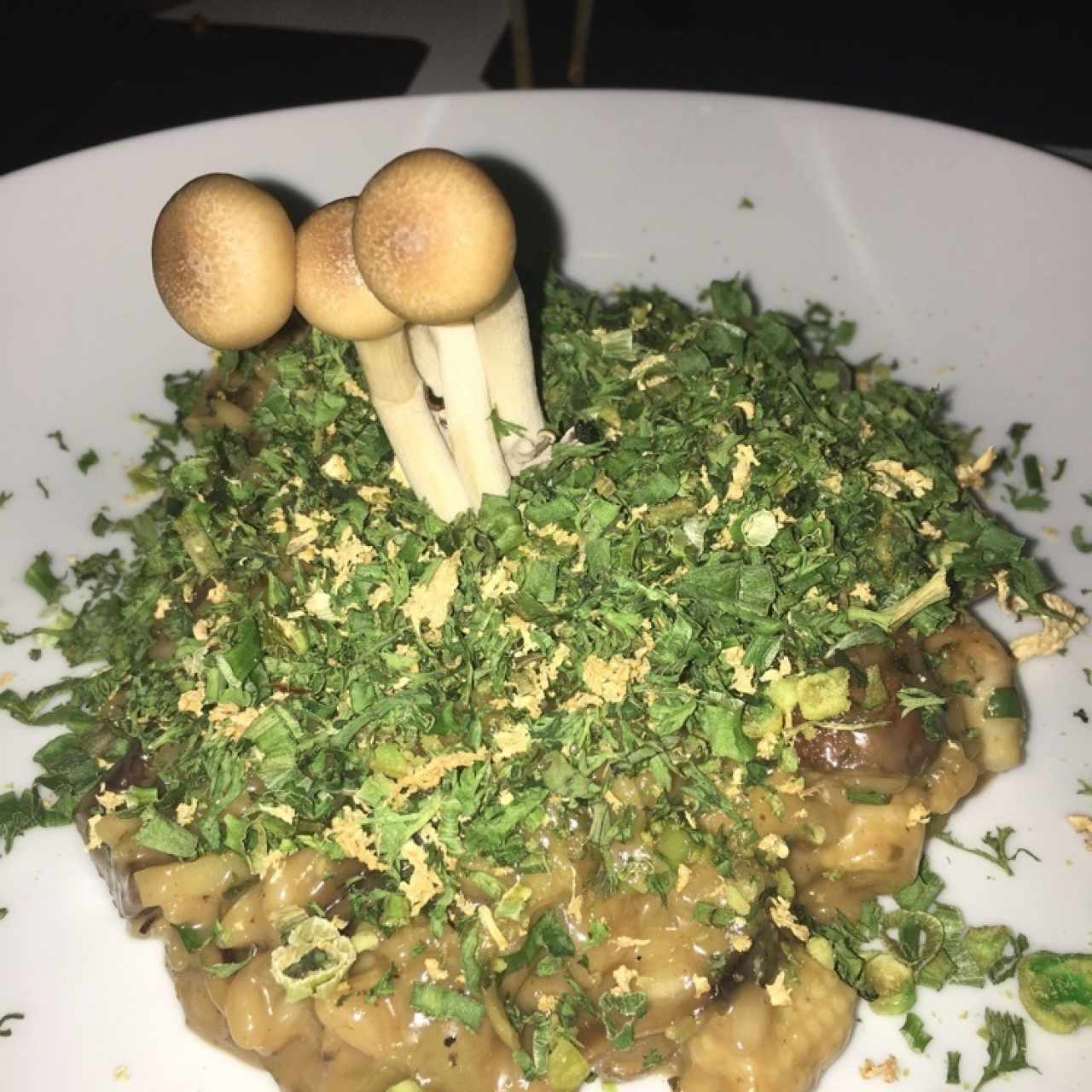 risotto de hongos