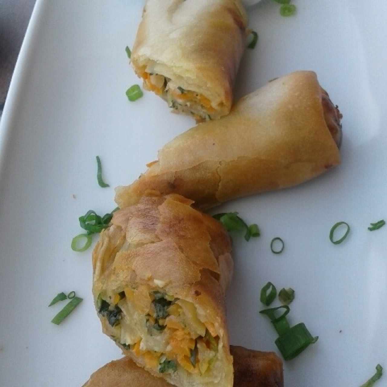 Spring rolls de vegetales