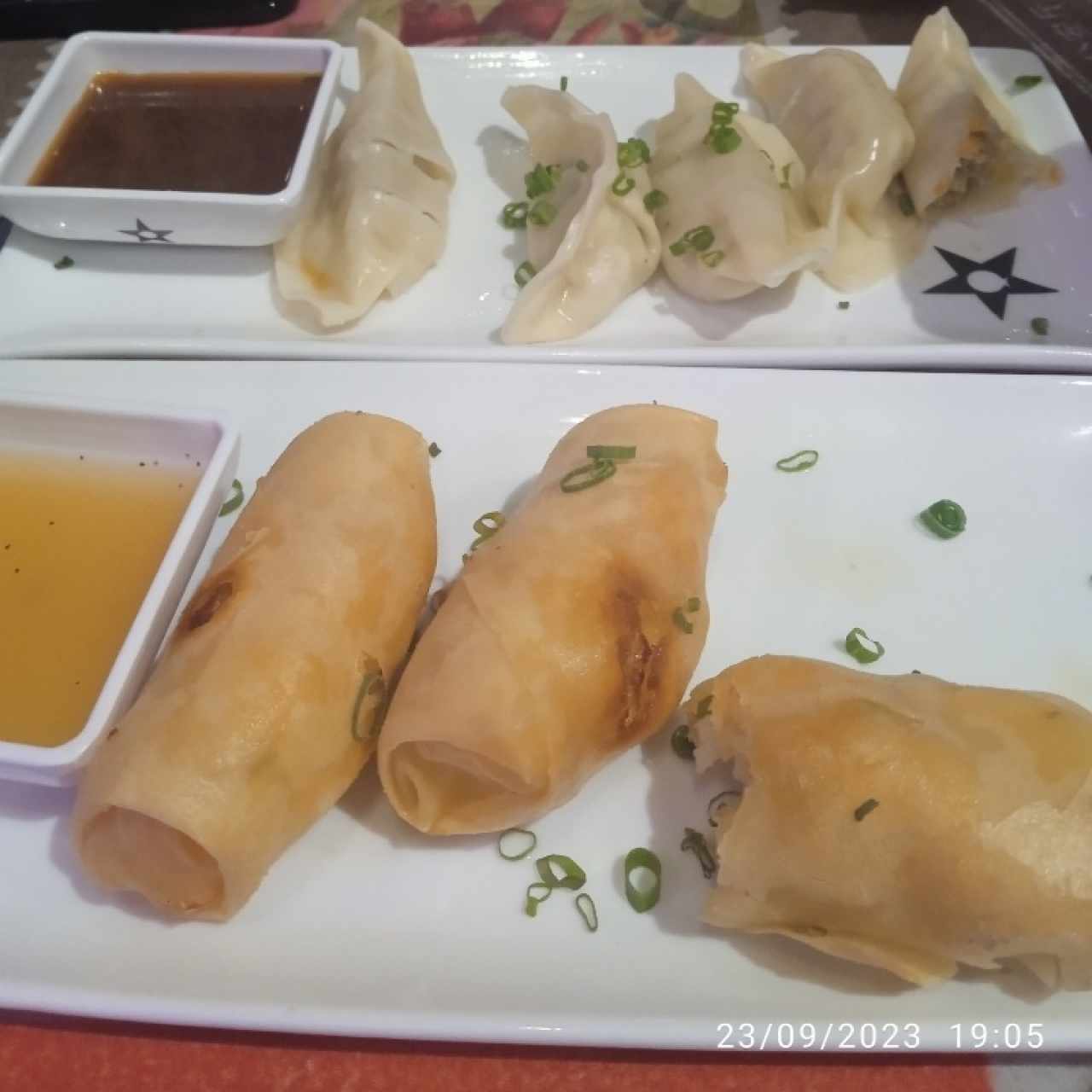 Tentadoras Entradas - Gyozas Mixtas y spring roll de camarones 