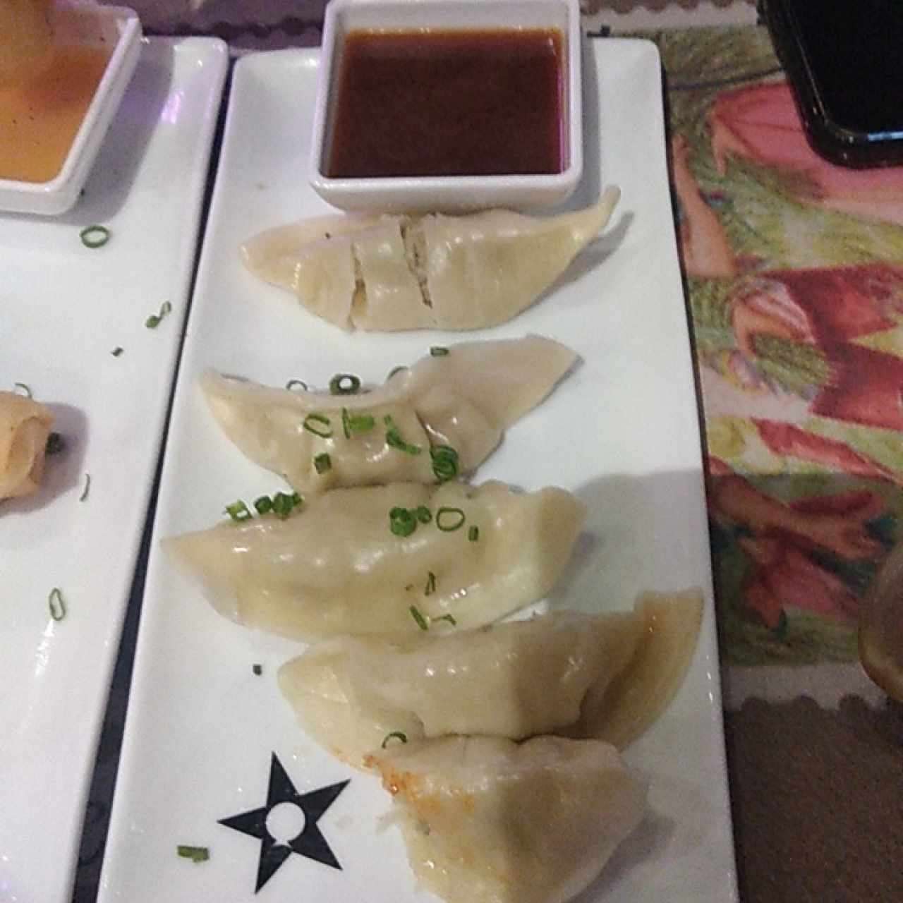 Tentadoras Entradas - Gyozas Mixtas