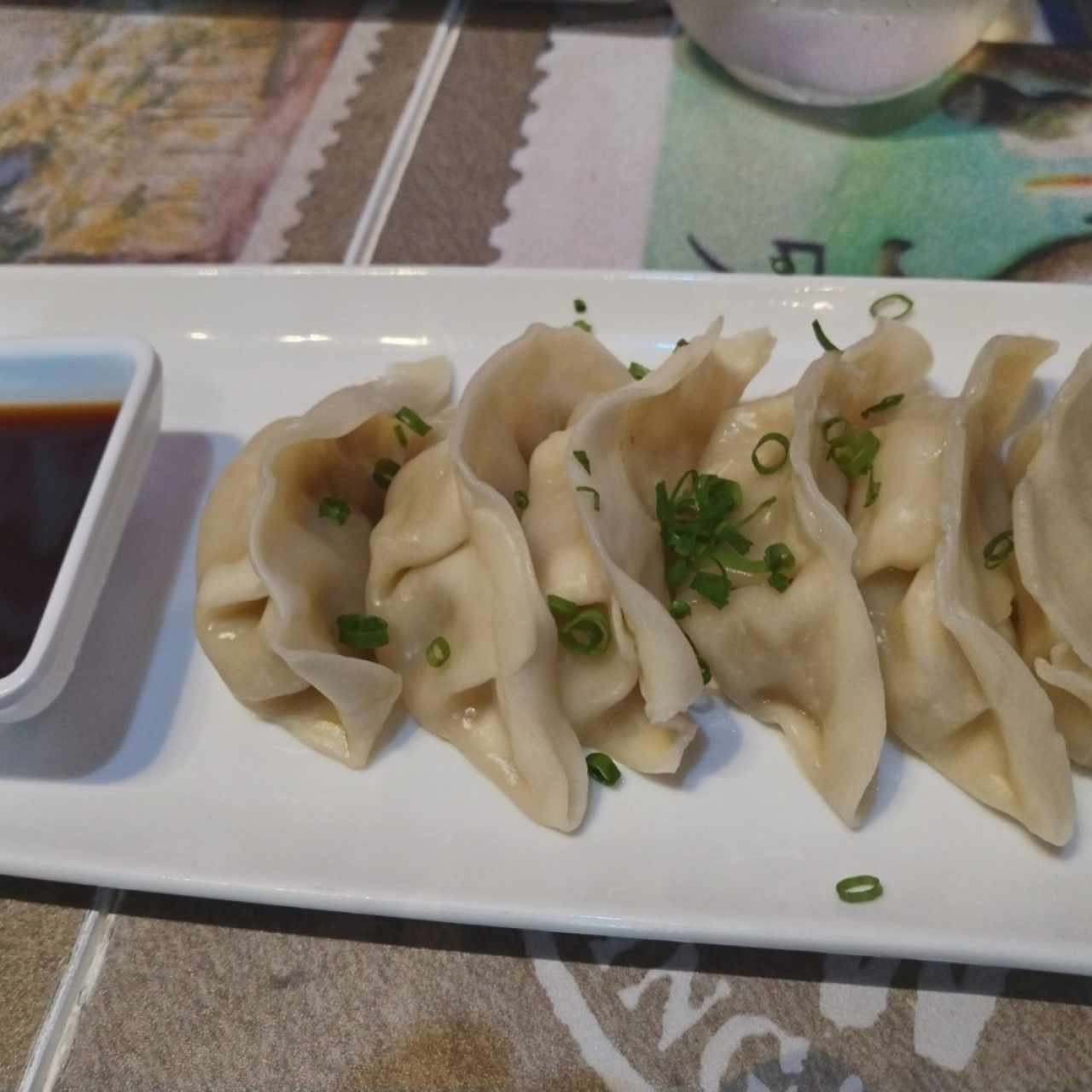 Tentadoras Entradas - Gyozas Mixtas