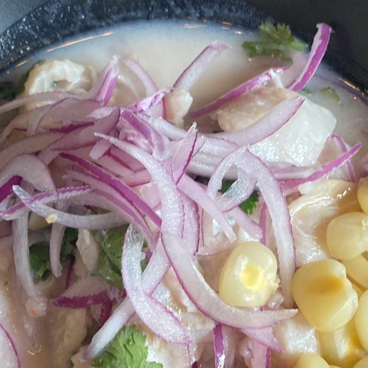 Ceviche carretillero , es un plato muy basico !!Y la pregunta es , porque no hubo camote o lechuga ? Supongo que es el estilo del restaurante pero a muchos lugares que he ido incluso no siendo peruanos me han servido eñ plato como es… lastimosamente visualemnte no me agrado y de sabor fue una decepcion 