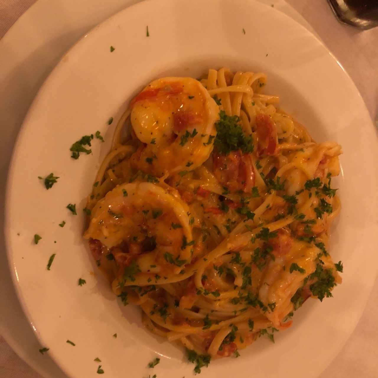 pasta estefano 