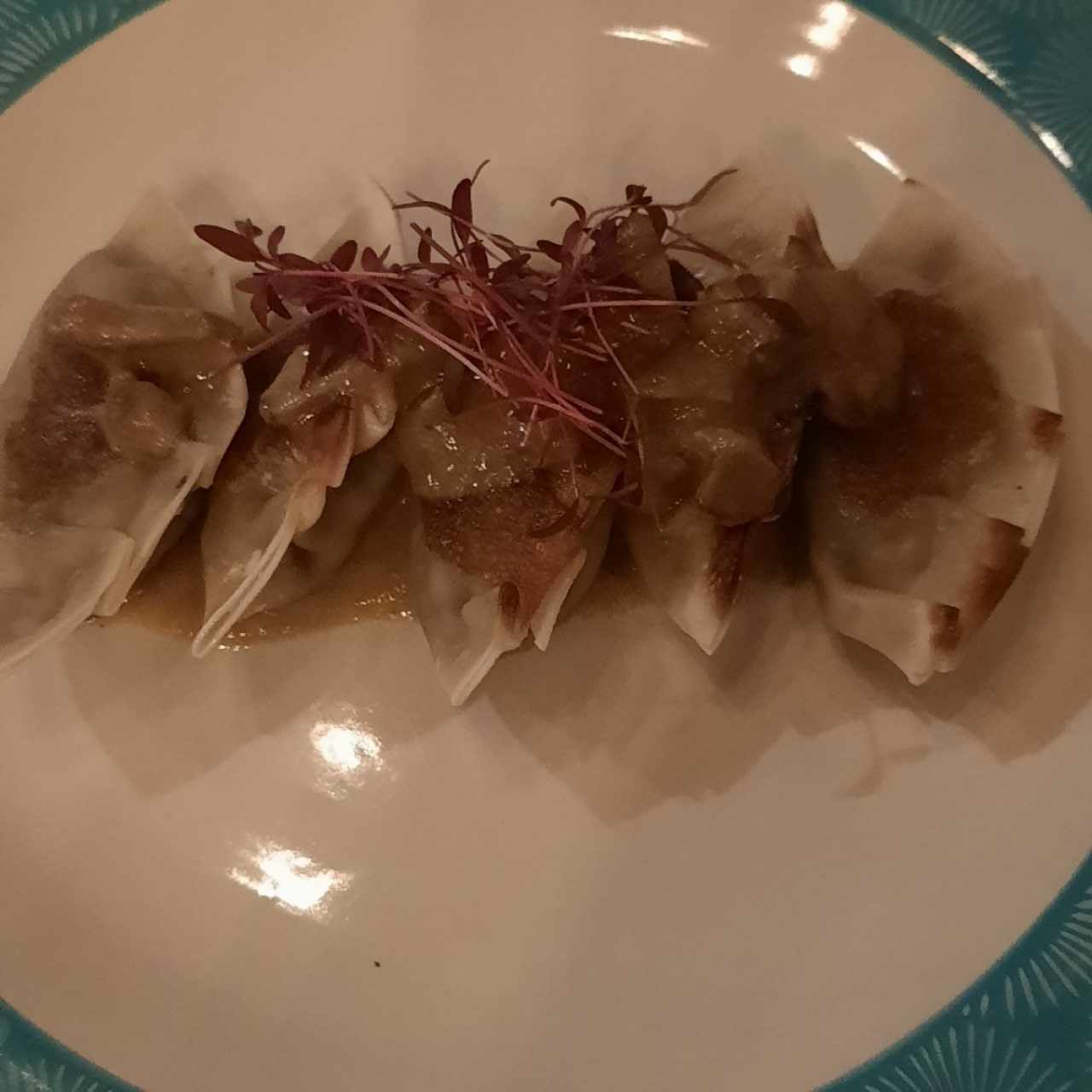 Dumplings de Short Rib