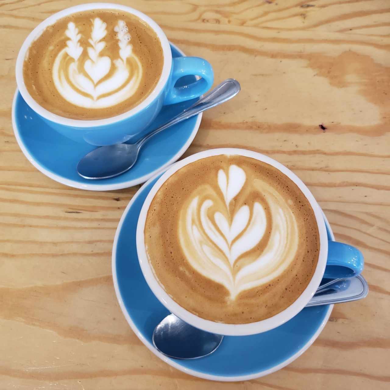 Cappuccinos 