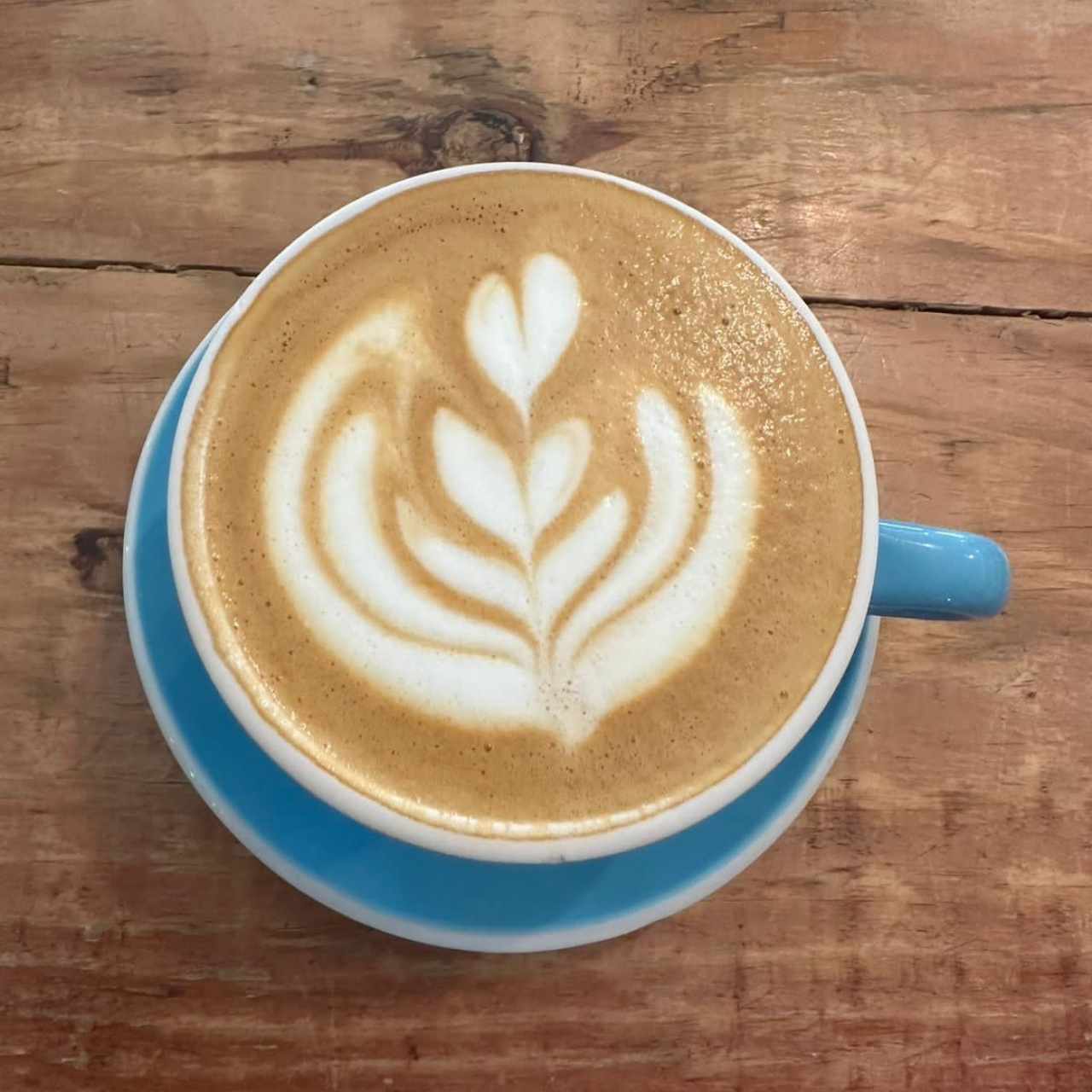 Capuccino