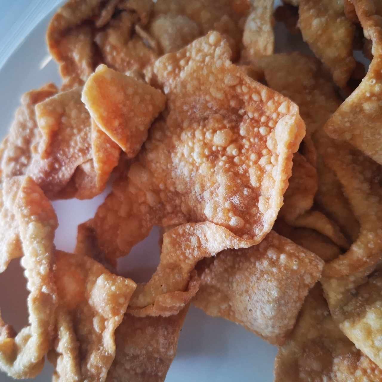 wanton frito