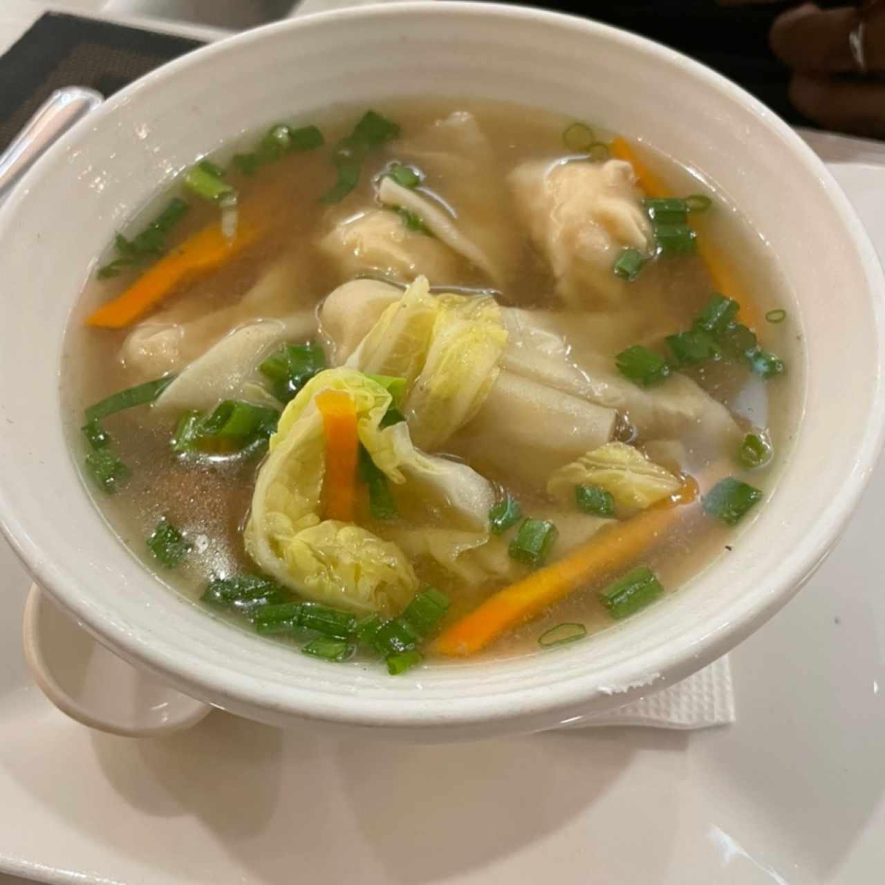 SOPAS - SOPA DE WANTON