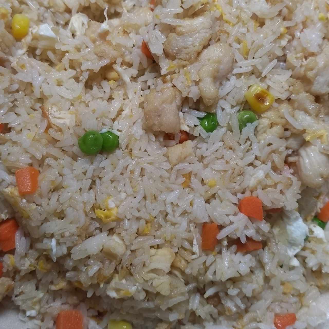 arroz frito pollo y pescado salado