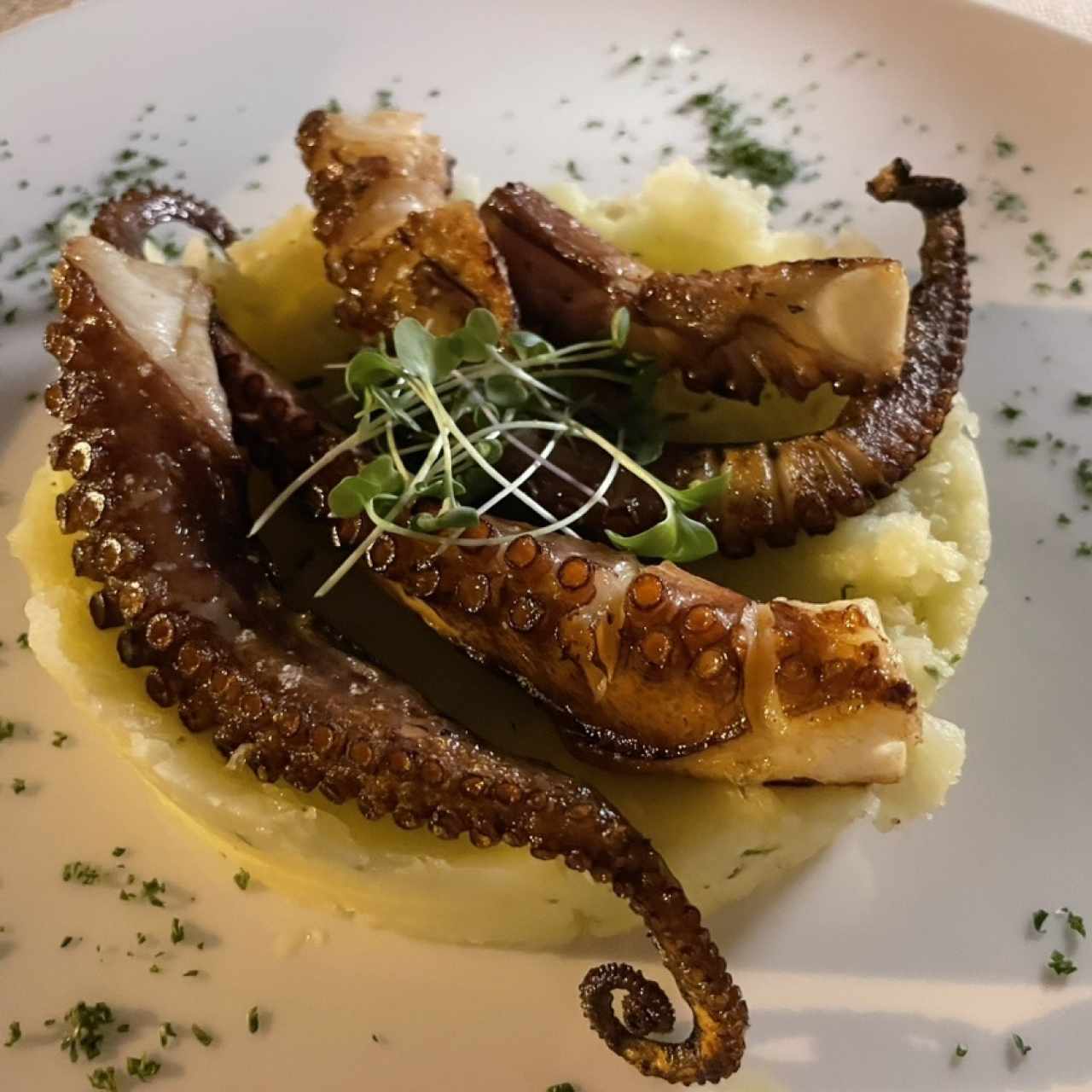 Pulpo Grillado Sobre Puré de Papas