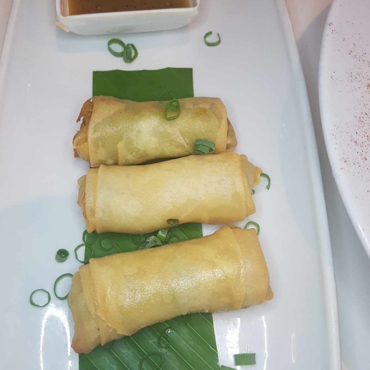 Rollitos de papel de arroz de salmón