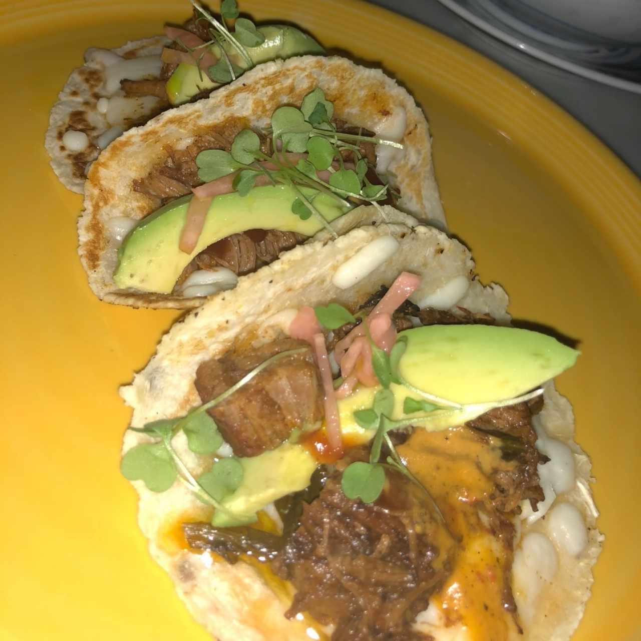 brisket tacos