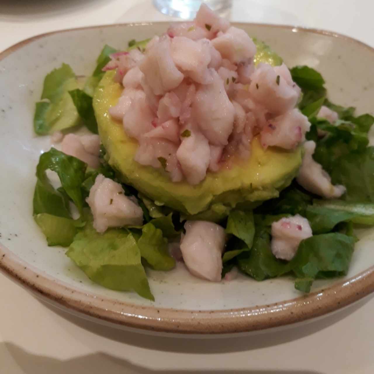 ceviche sobre aguacate,  delicioso 