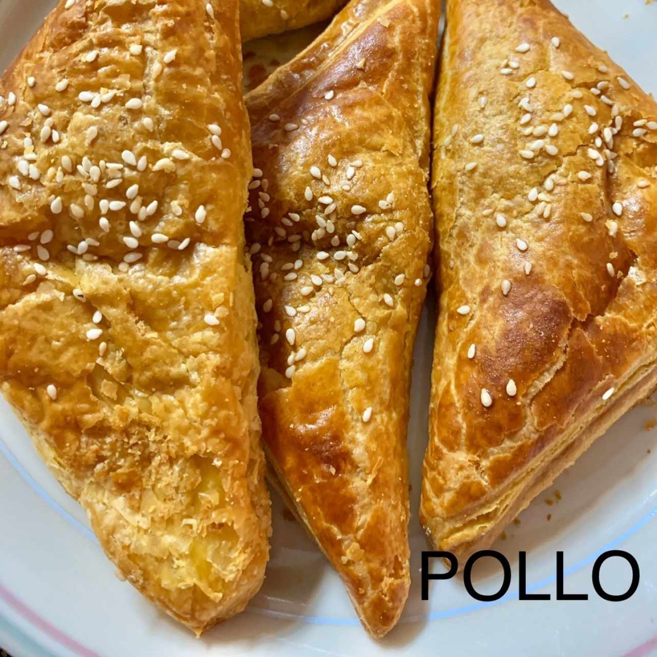 Empanadas de Pollo