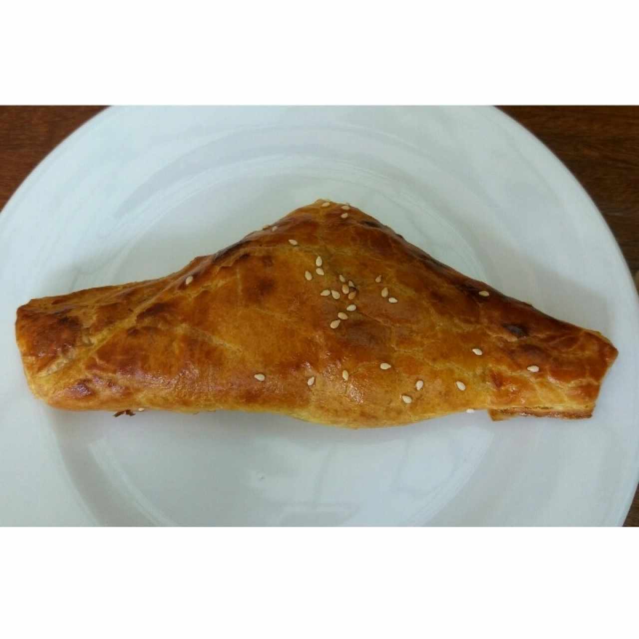 Empanada de pollo