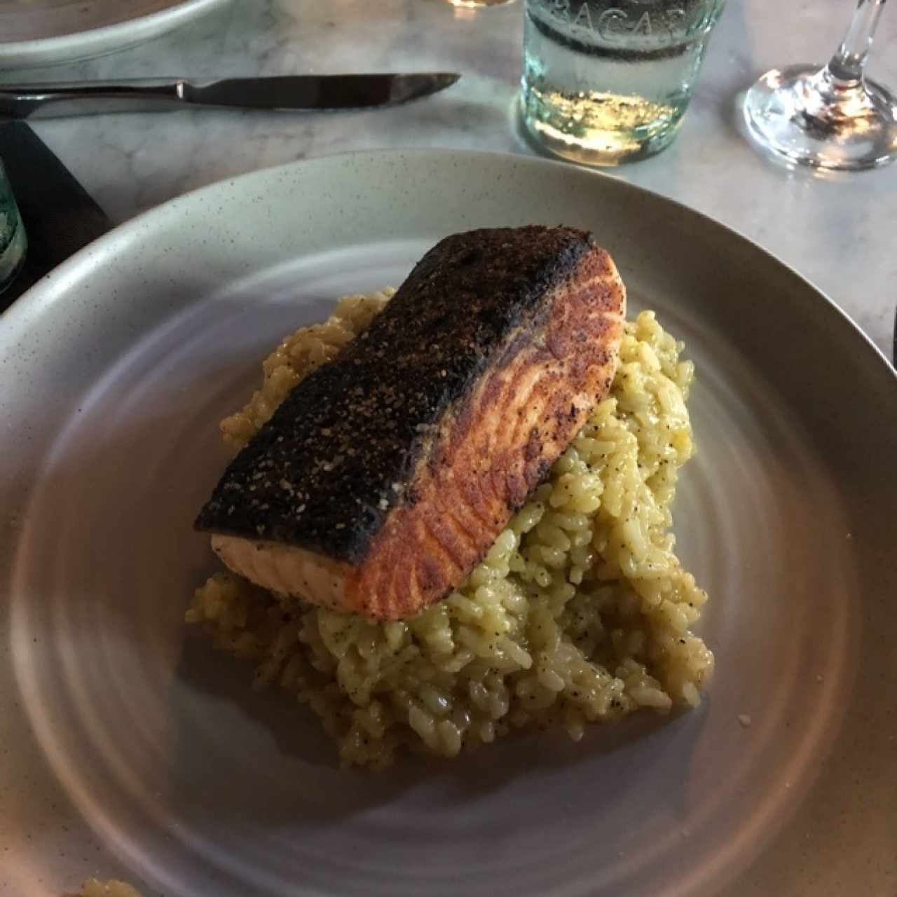 salmon 