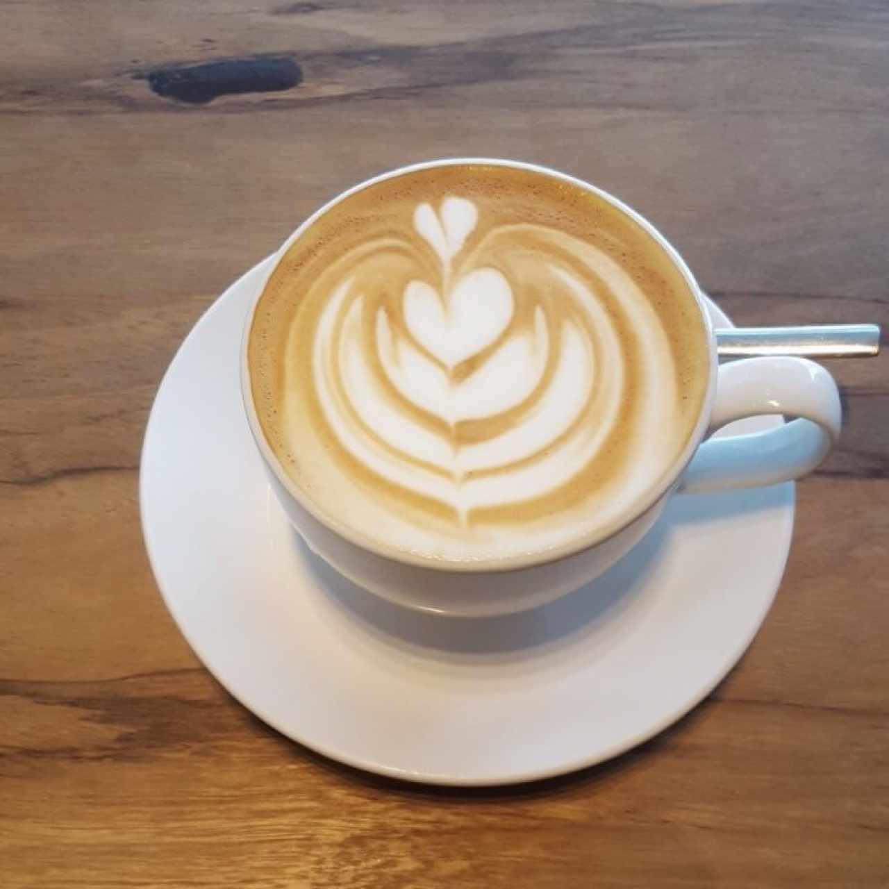 capuccino