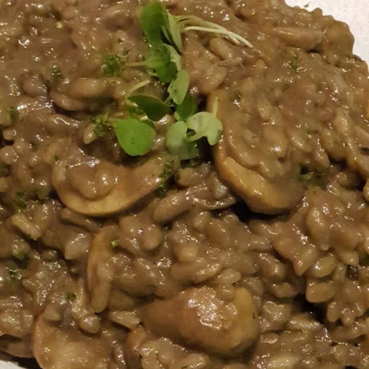 PLATOS FUERTES - Risotto de Vegetales