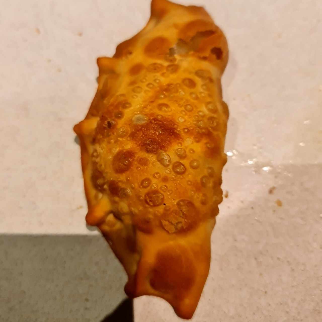 Empanada de entraña frita