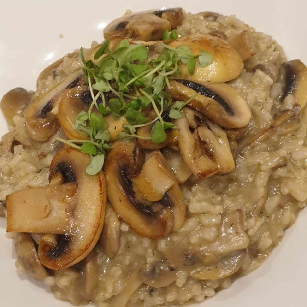 PLATOS FUERTES - Risotto de Vegetales