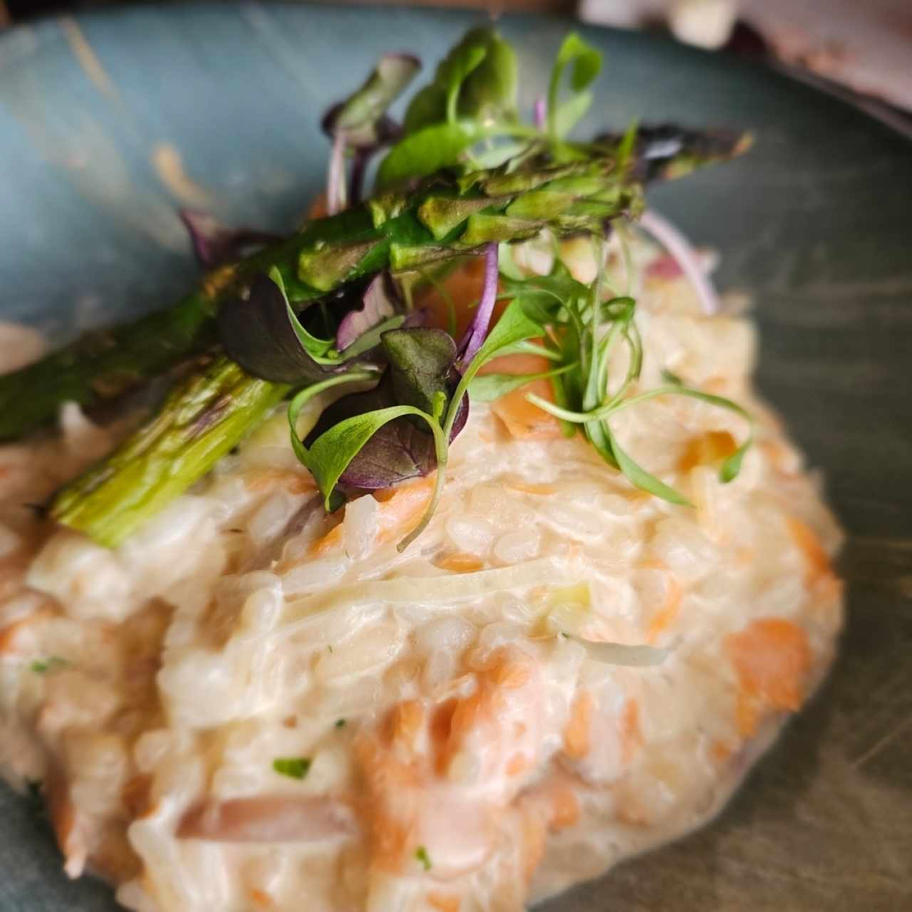 Risottos - Risotto Funghi