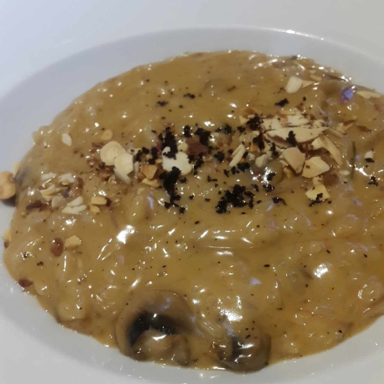 Risottos - Risotto funghi