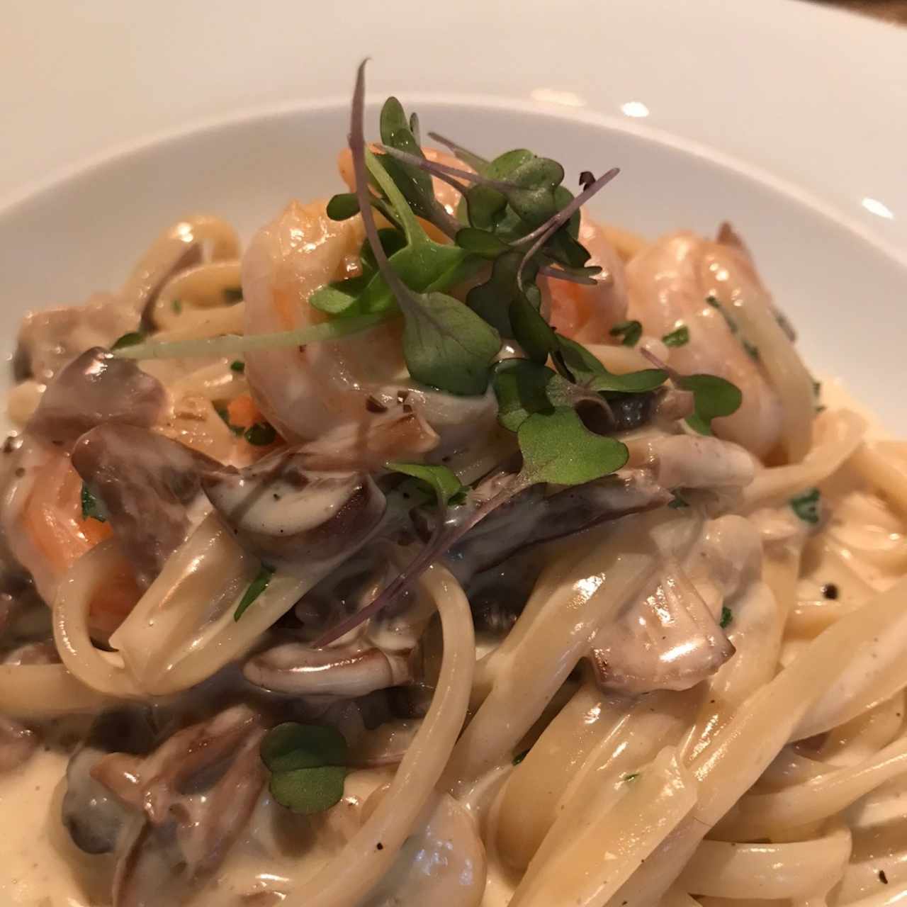 pasta con camarones y champiñones en salsa blanca