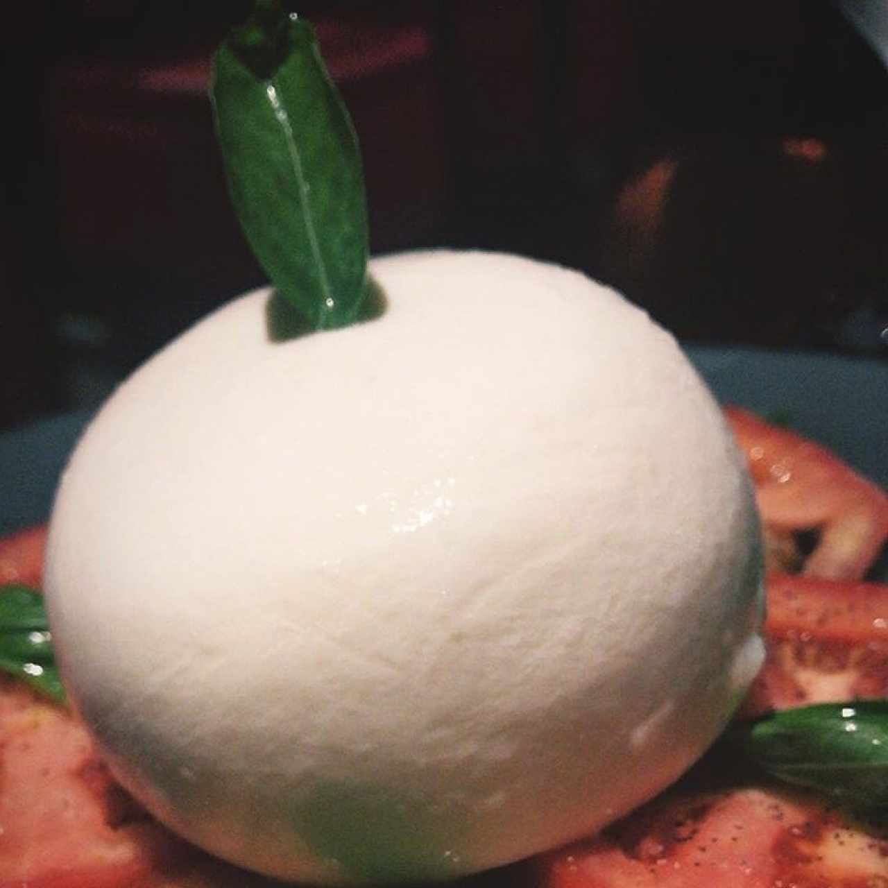 burrata Assisi