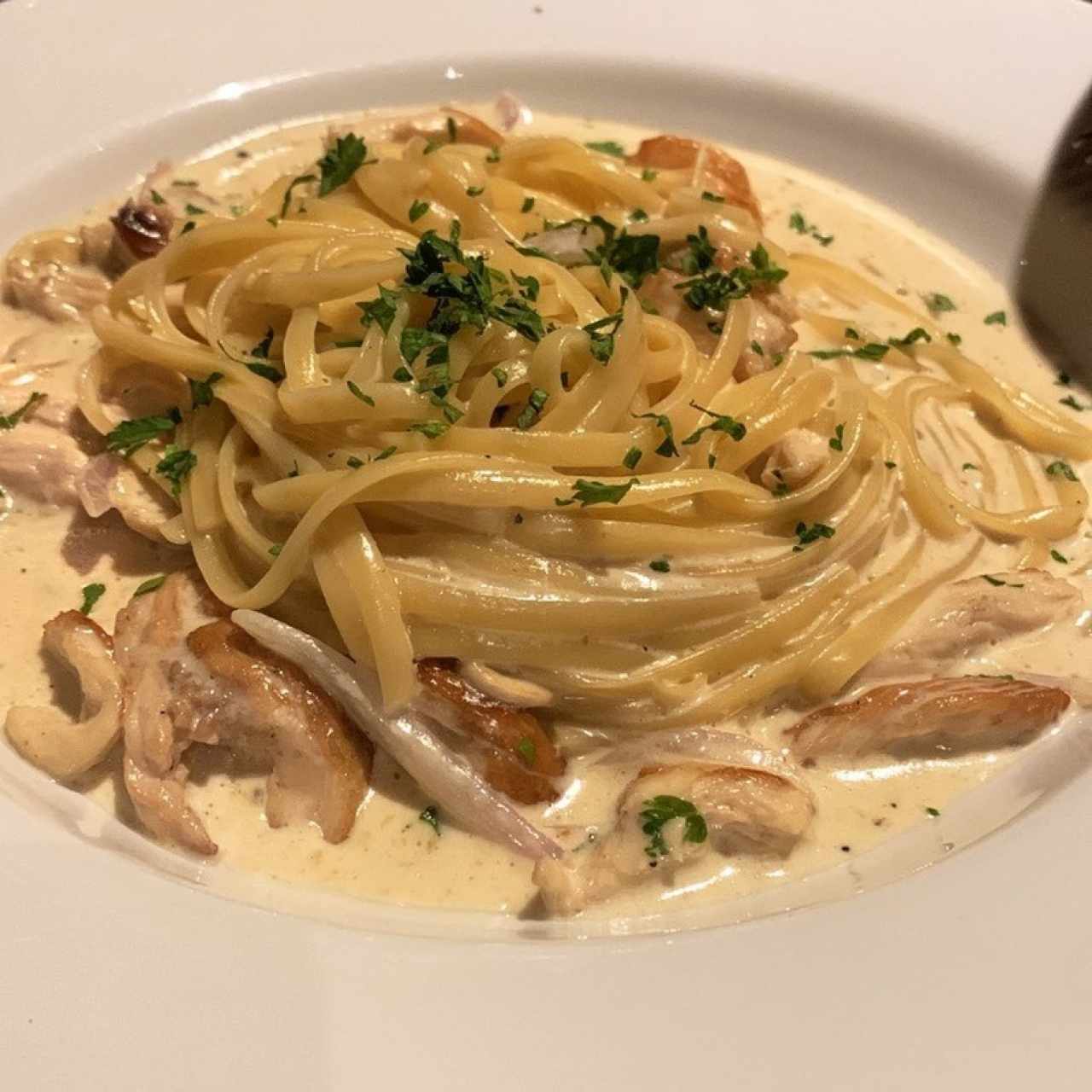 Pasta de pollo en crema blanca