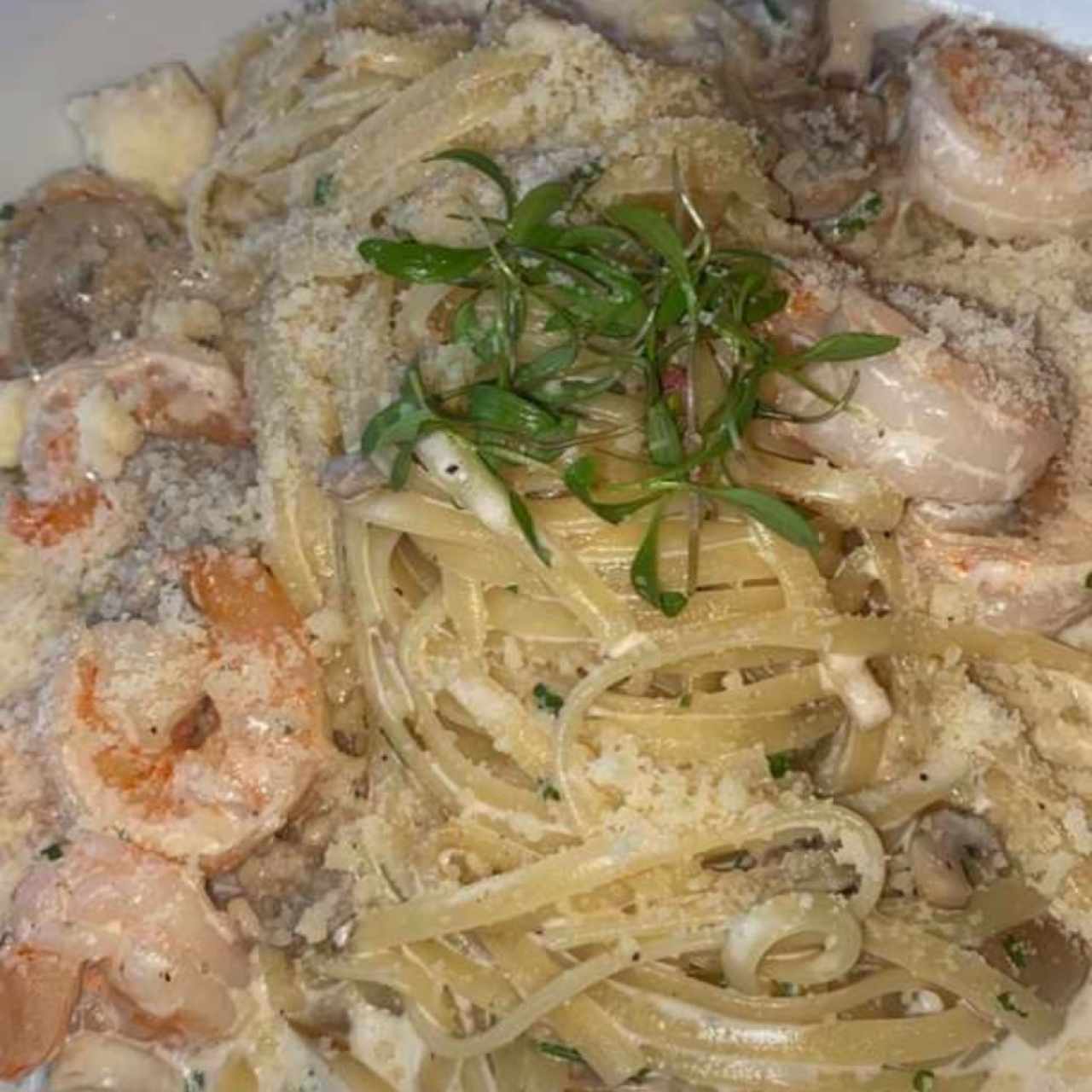 Pasta con camarones! Muy buena 