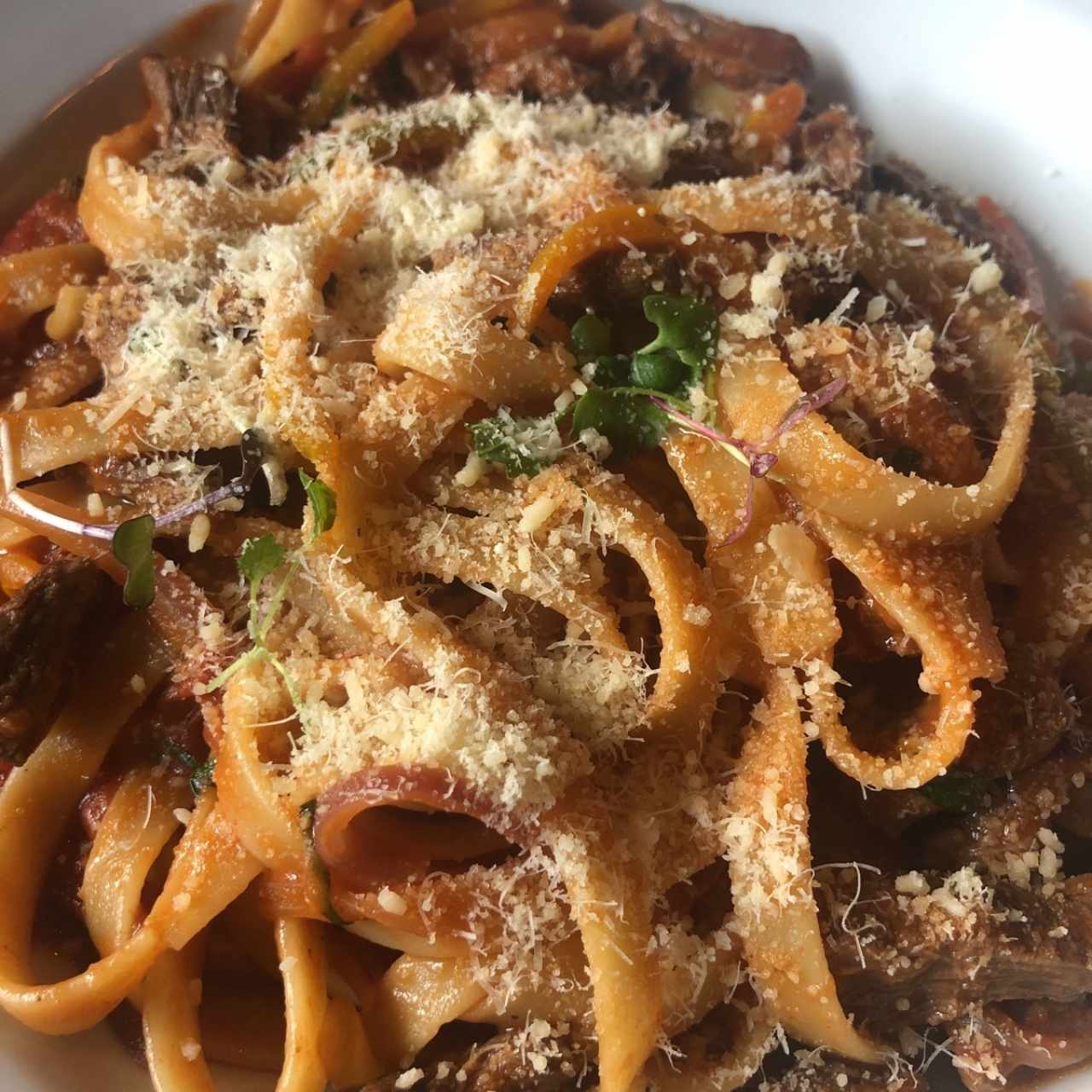 Pasta con Trozos de Filete