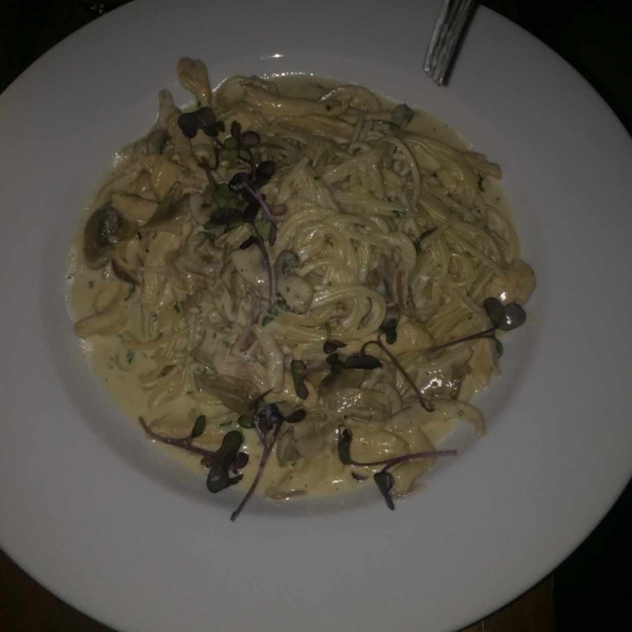 Pasta a la Crema con Pollo