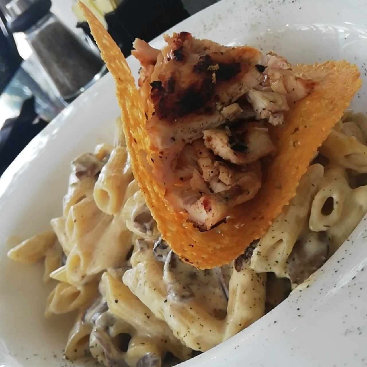 penne Alfredo con pollo