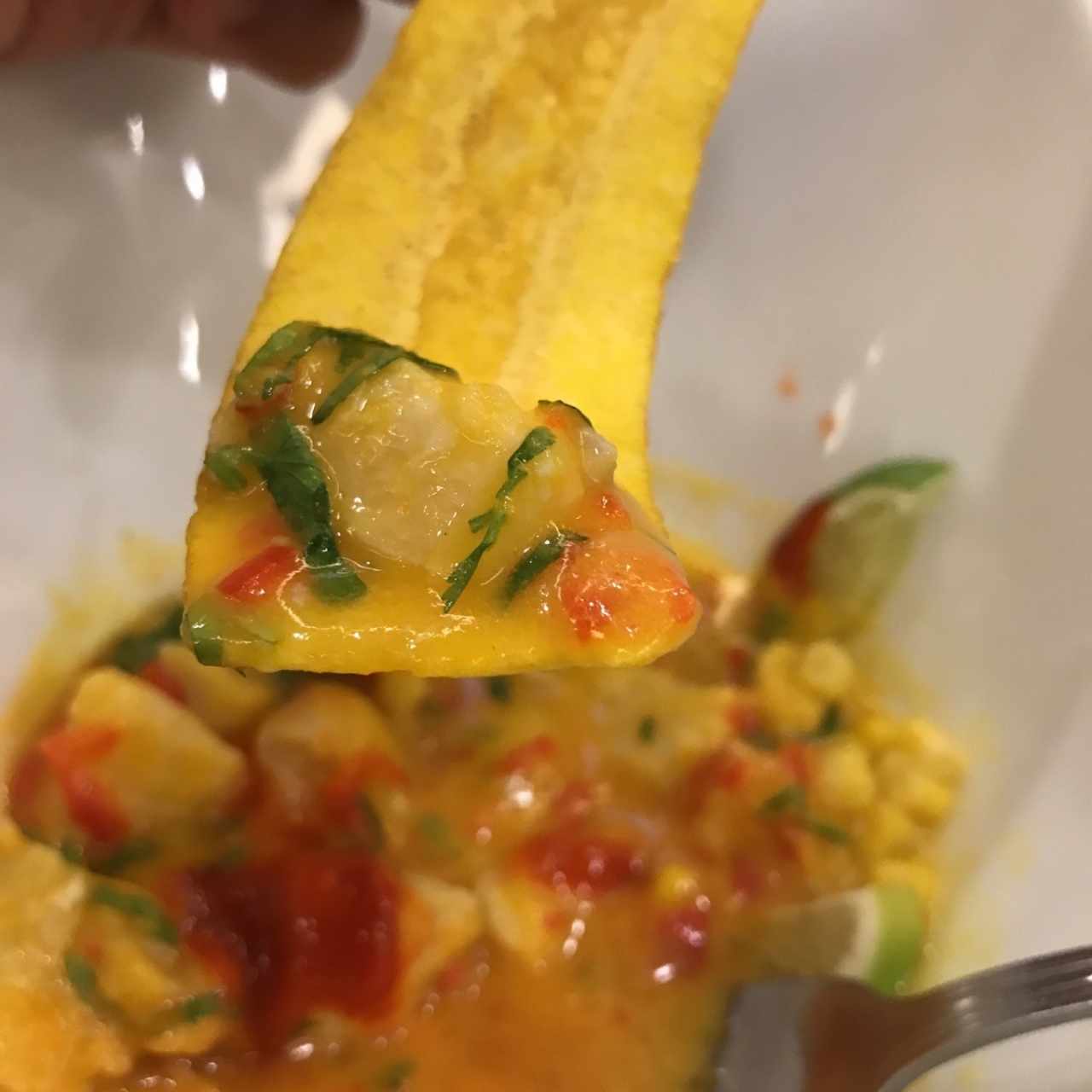 ceviche en salsa de aji amarillo