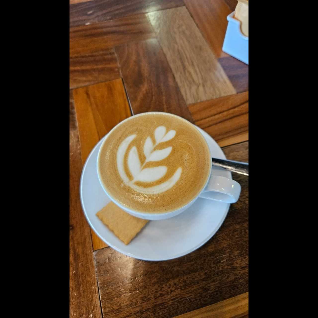 cappucino