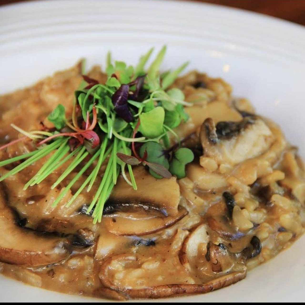 Risotto funghi