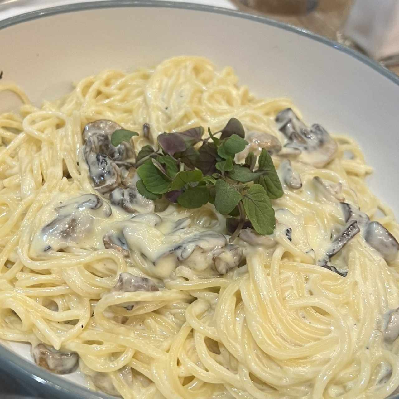 Pastas Recomendadas - A la Champiñones