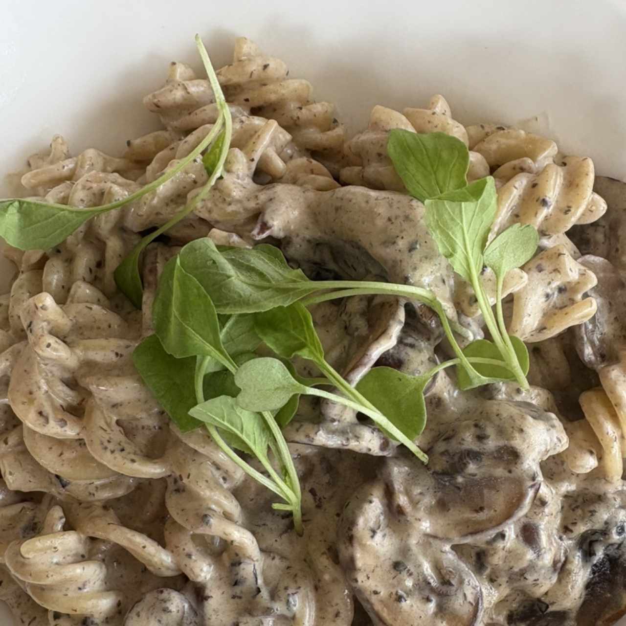 Pastas Recomendadas - Al Tartuffo