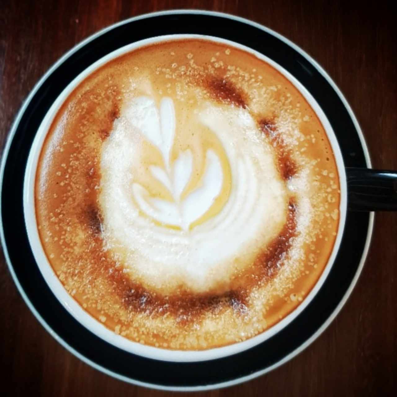 cappuccino 