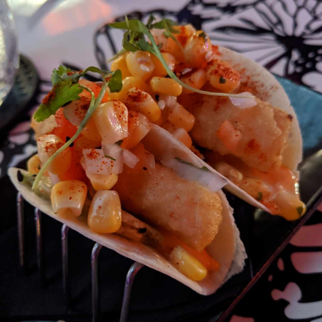 Tacos de cobia