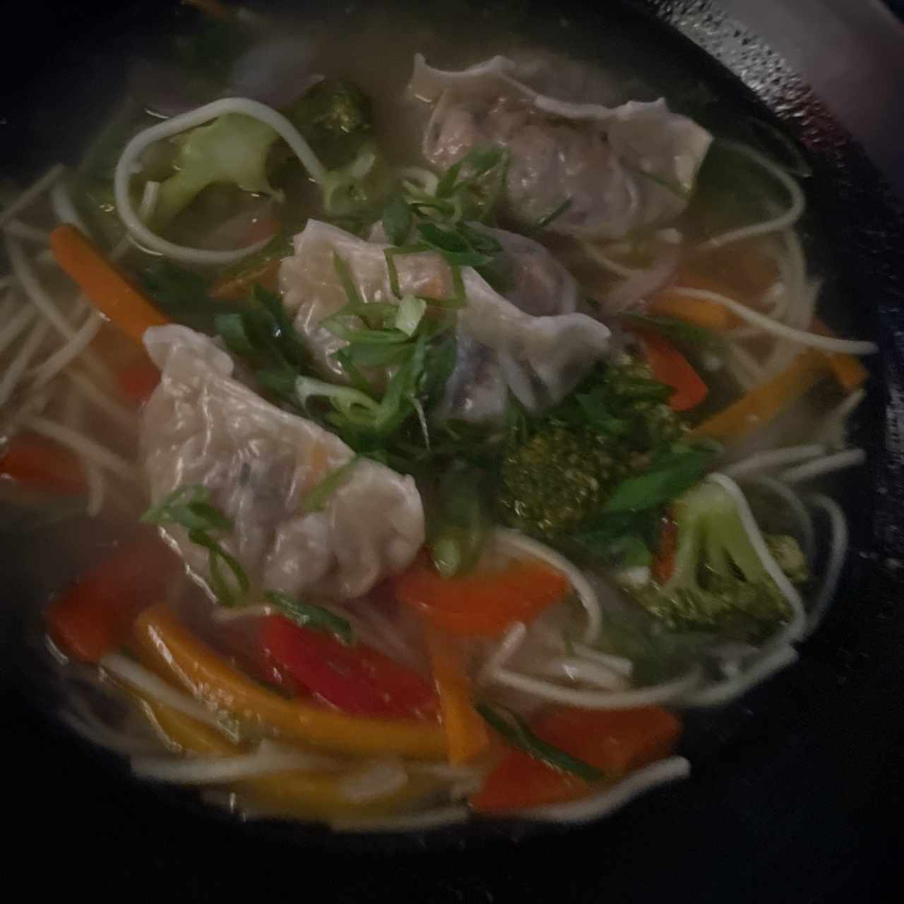 Nuddle and Dumplings Soup 