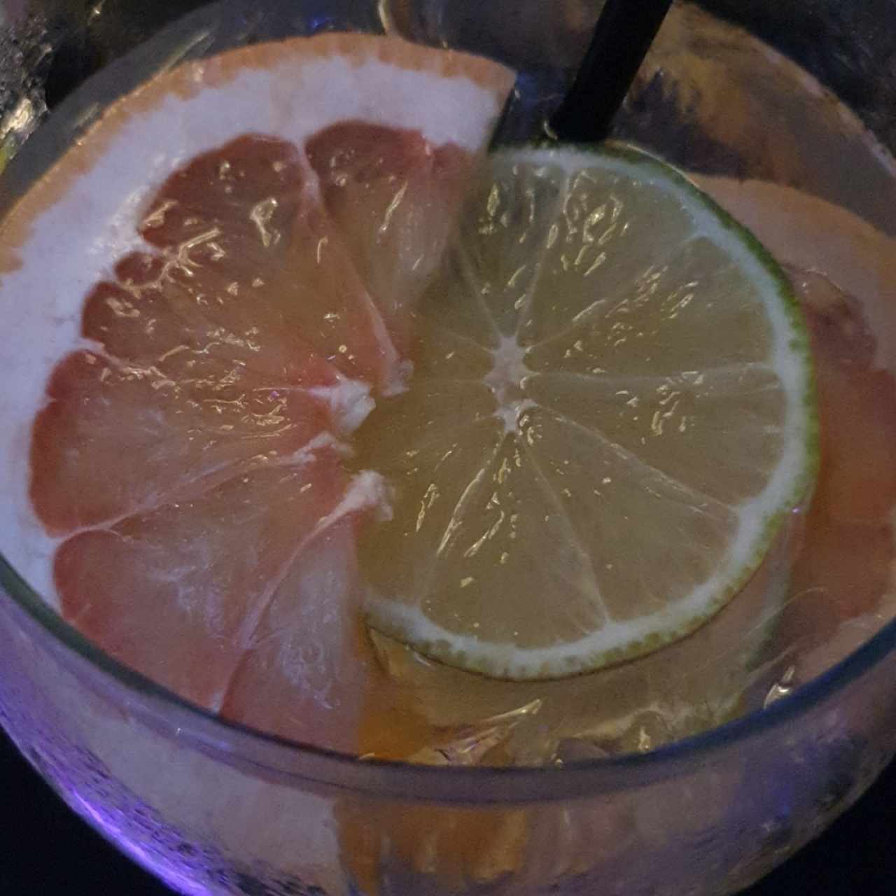 gin tonic cítrico