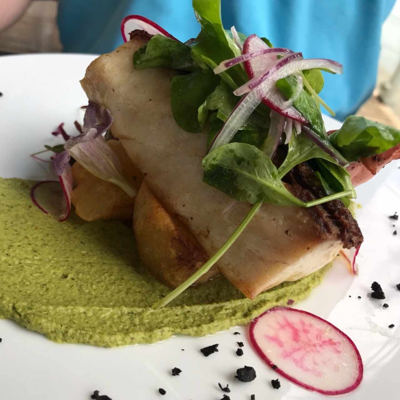 Cobia con Pulpo y pure de Pistacho