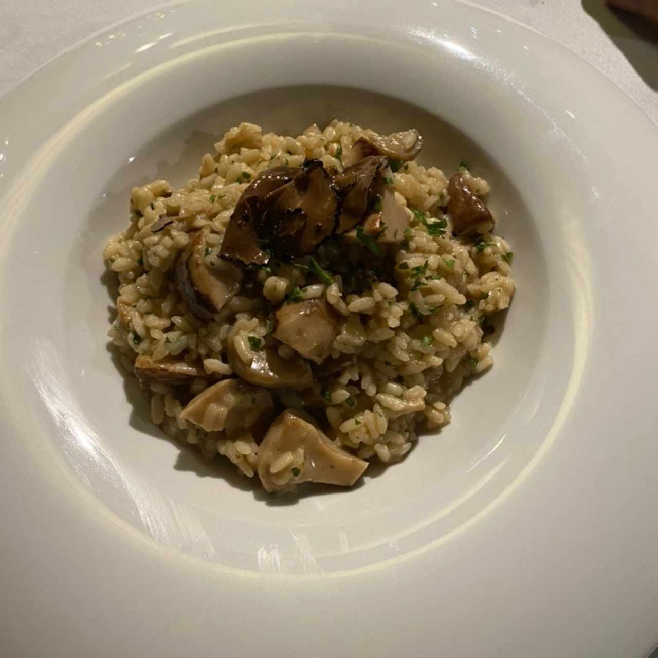 Risotto Porcini E Tartufo