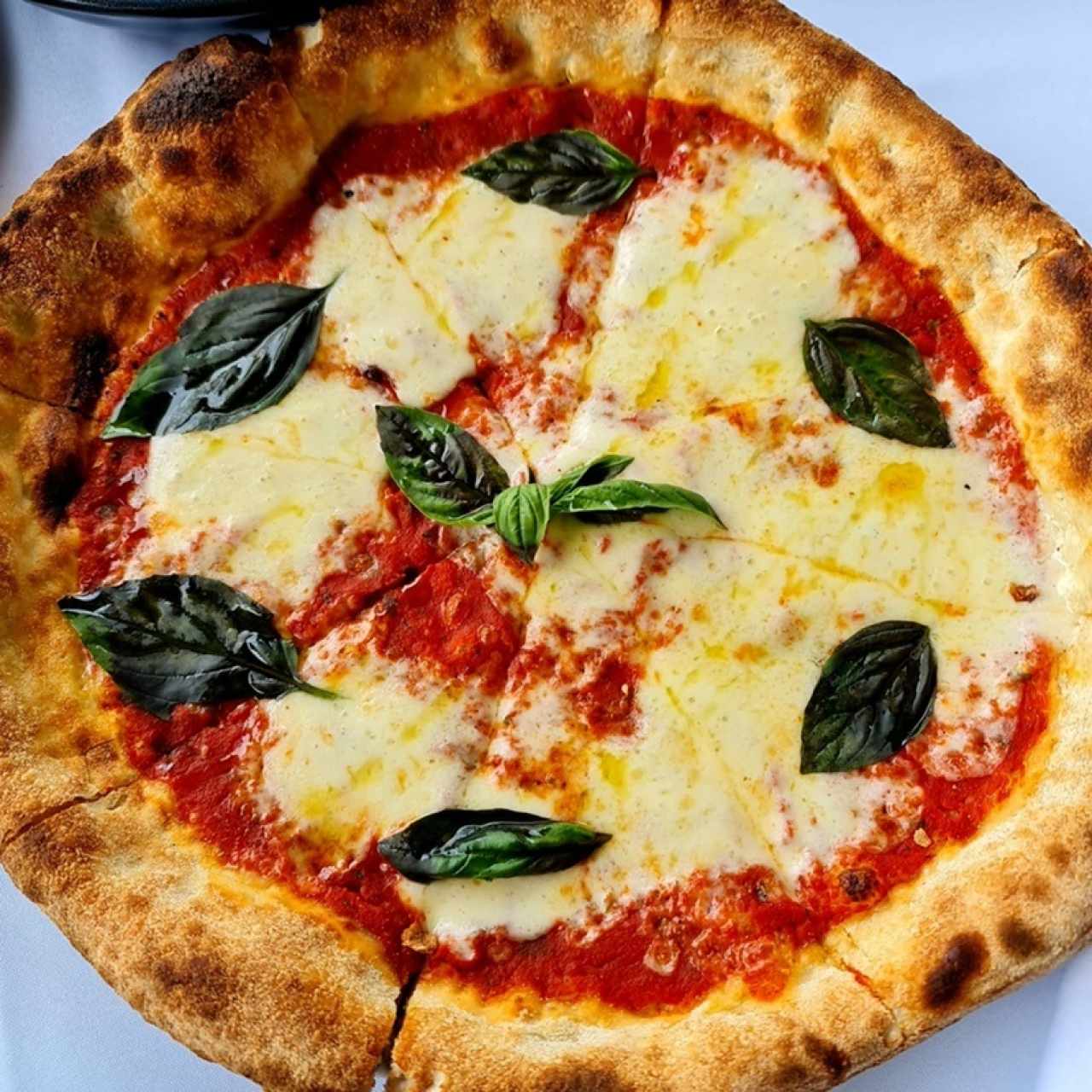 Pizza margherita