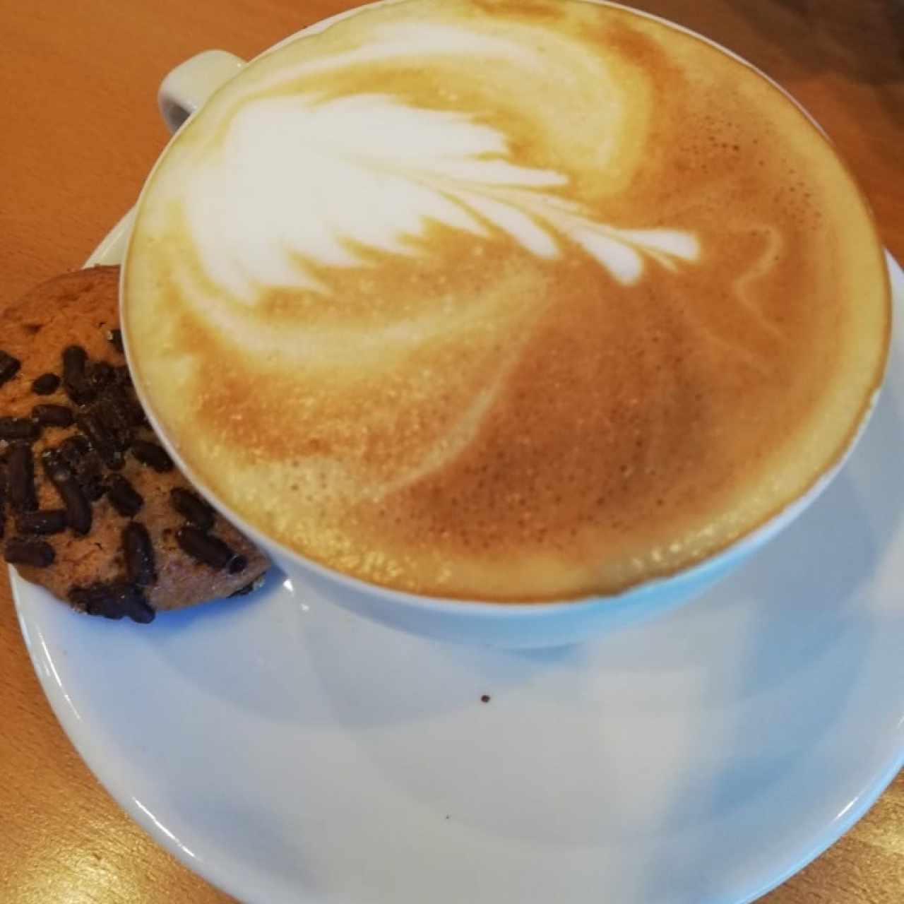 capuccino 