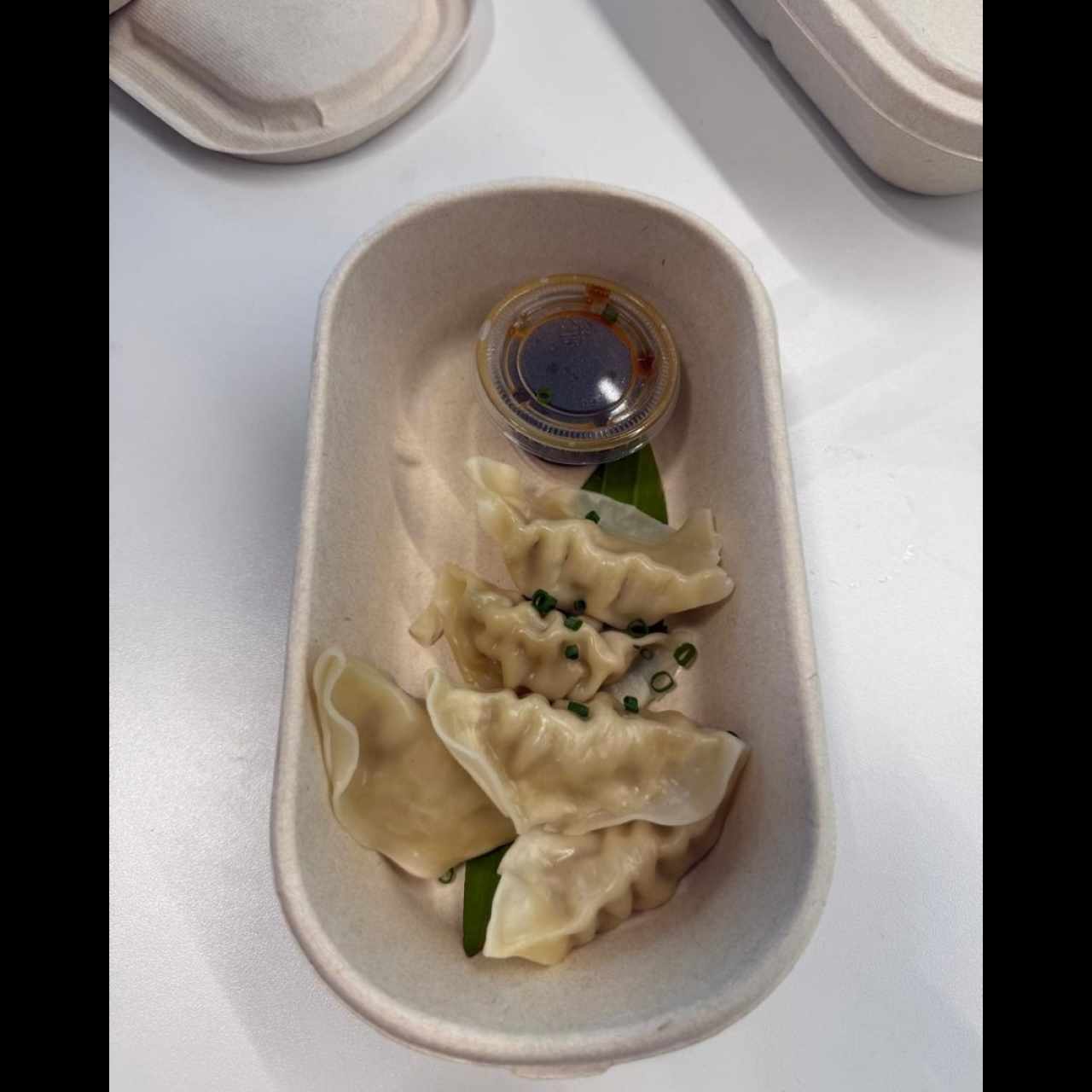 Tentadoras Entradas - Gyozas de Cerdo